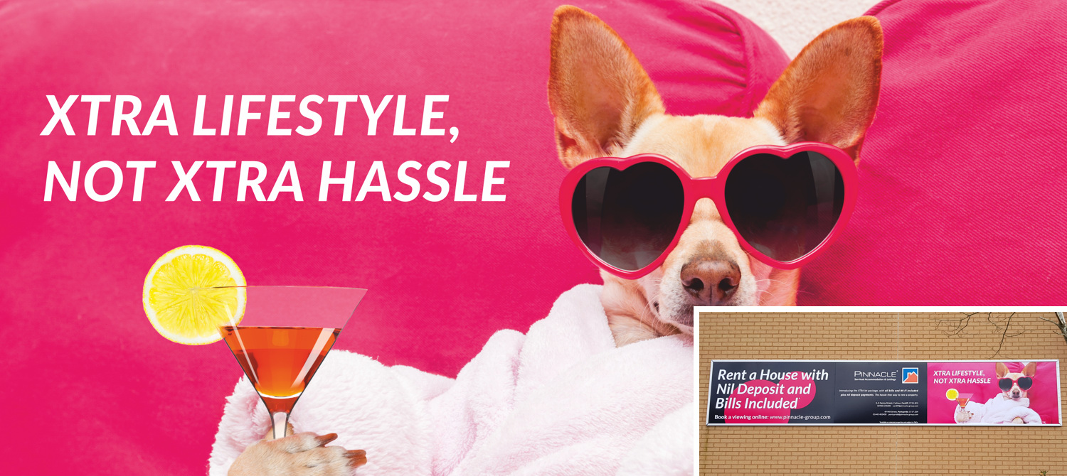 Signage and Shop Fronts